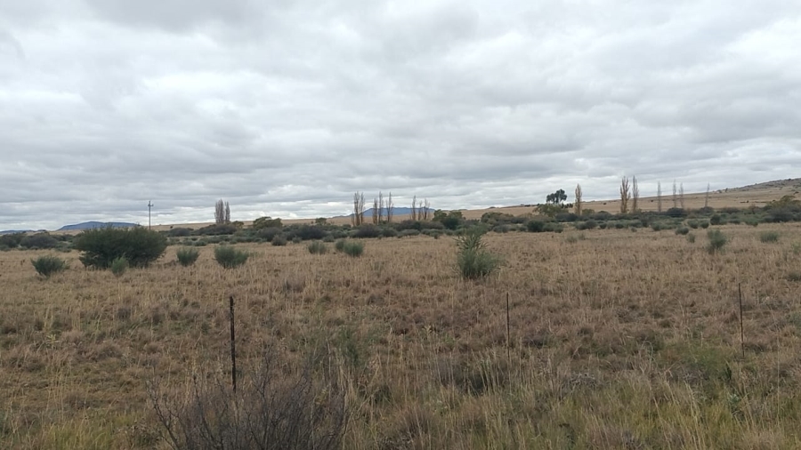 4 Bedroom Property for Sale in Dewetsdorp Rural Free State